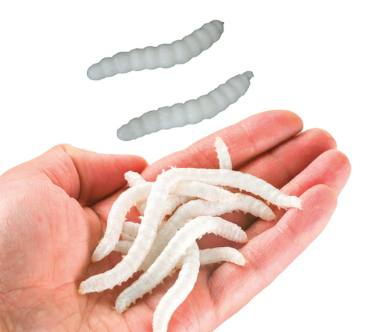 20 Elastische Würmer 4 cm – Lustiges Spielzeug